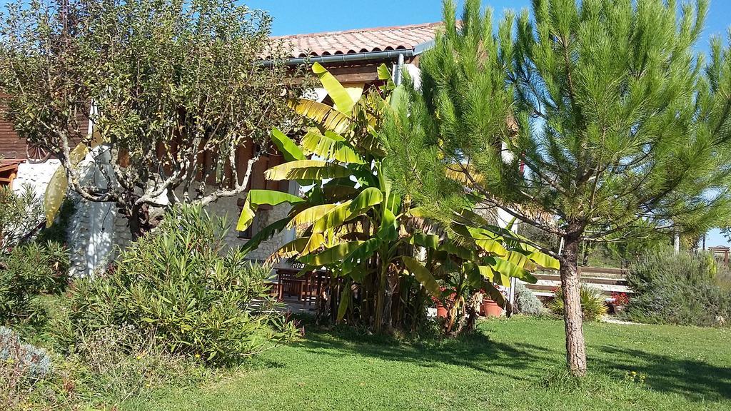 Castelnau-sur-lʼAuvignon Chambres D'Hotes Domaine De La Rose Des Vents المظهر الخارجي الصورة